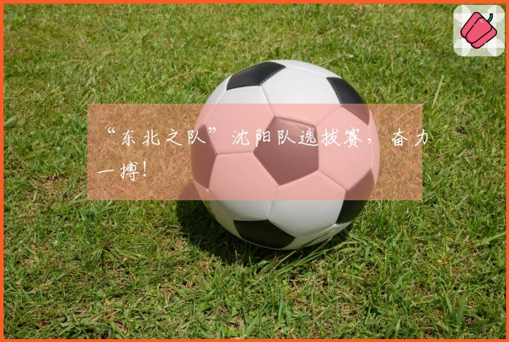 “东北之队”沈阳队选拔赛，奋力一搏！