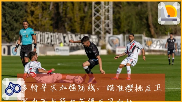 多特寻求加强防线，瞄准樱桃后卫塞内西与萨尔茨堡后卫加杜