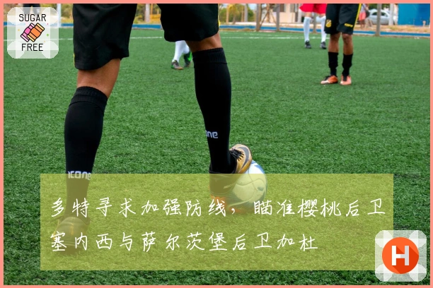 多特寻求加强防线，瞄准樱桃后卫塞内西与萨尔茨堡后卫加杜