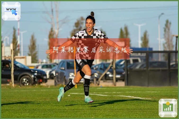阿莱格里赛后采访总结